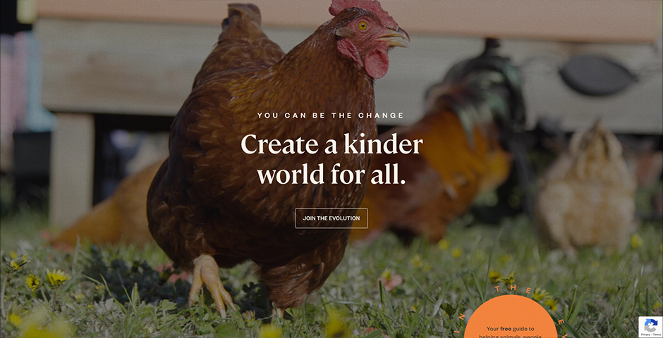 Animals Australia Website | Nominee, Honoree | 2022 The Webby Awards