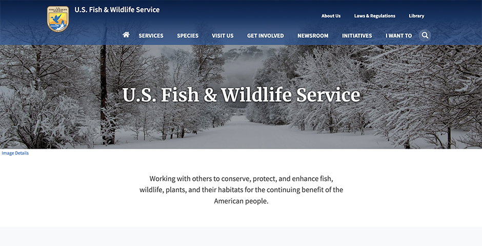 U.S. Fish and Wildlife Service - Endangered Species Act (ESA) 50th ...