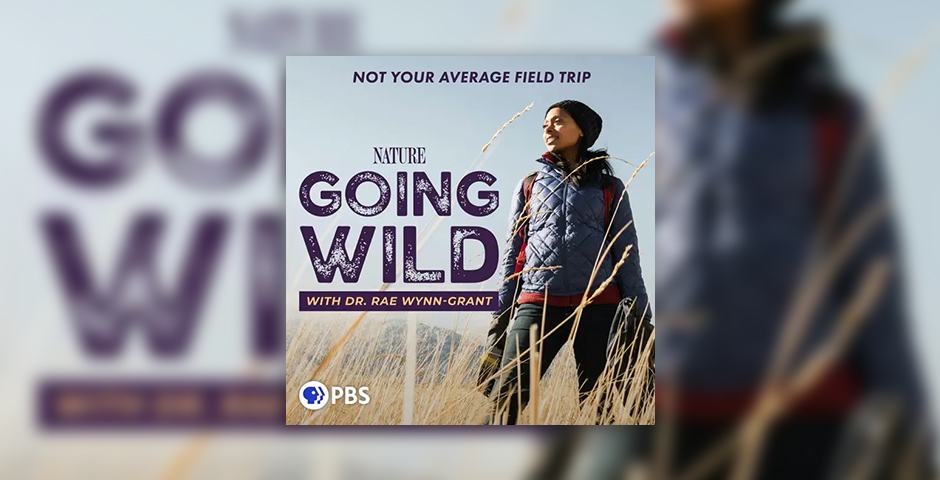 Go Wild Natural Science for Kids 2 絵本20冊