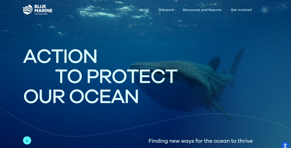 Blue Marine Foundation | People's Voice Winner | 2026 The Webby Awards