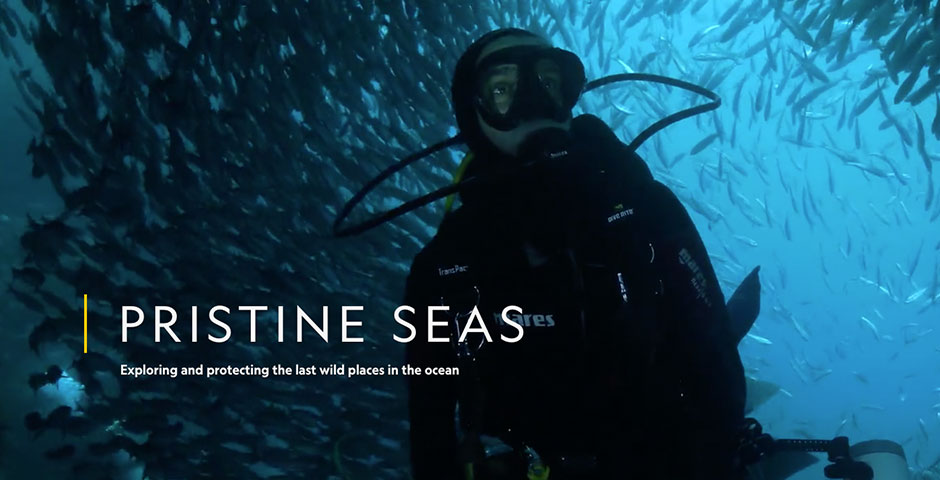 People's Voice / Webby Award Winner - National Geographic Pristine Seas