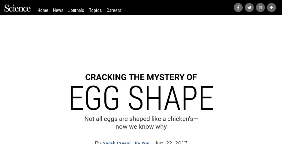 Nominee - Cracking the Mystery of Egg Shape