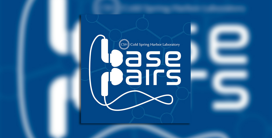 Nominee - Base Pairs