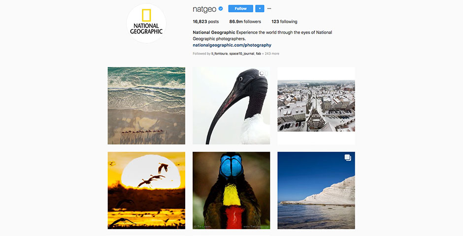 People's Voice / Webby Award Winner - @natgeo Instagram