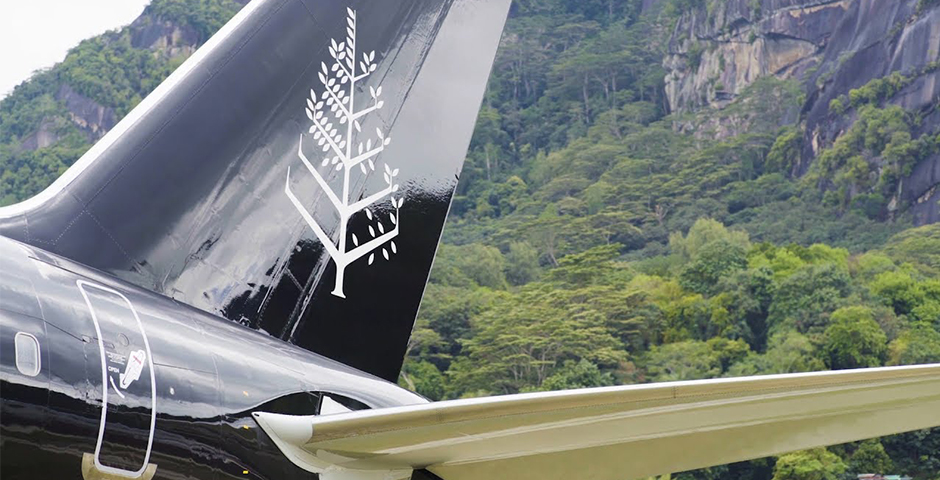 Nominee - Travel the World in 90 Seconds on the Four Seasons Private Jet