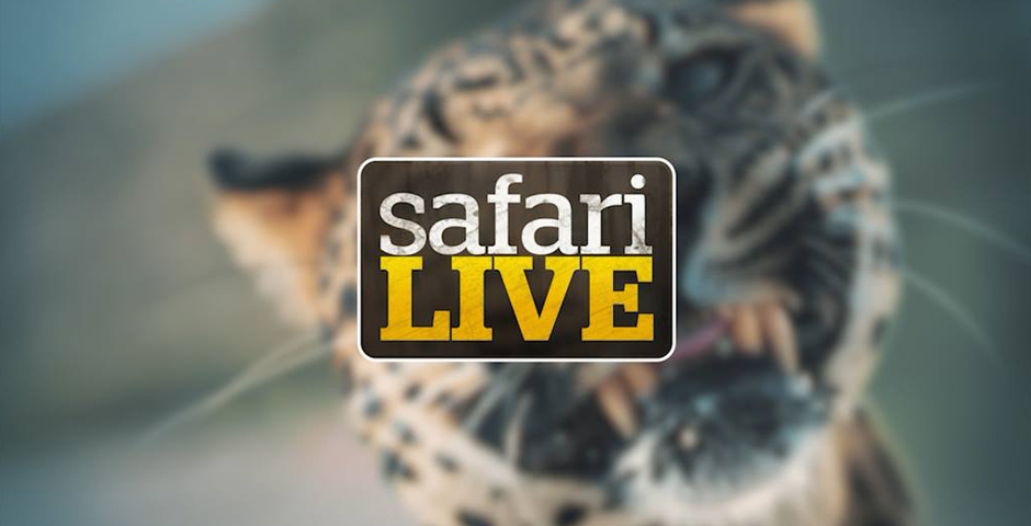 People's Voice - Safari Live On-Demand