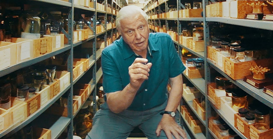 People's Voice - Sir David Attenborough on Museum Collections