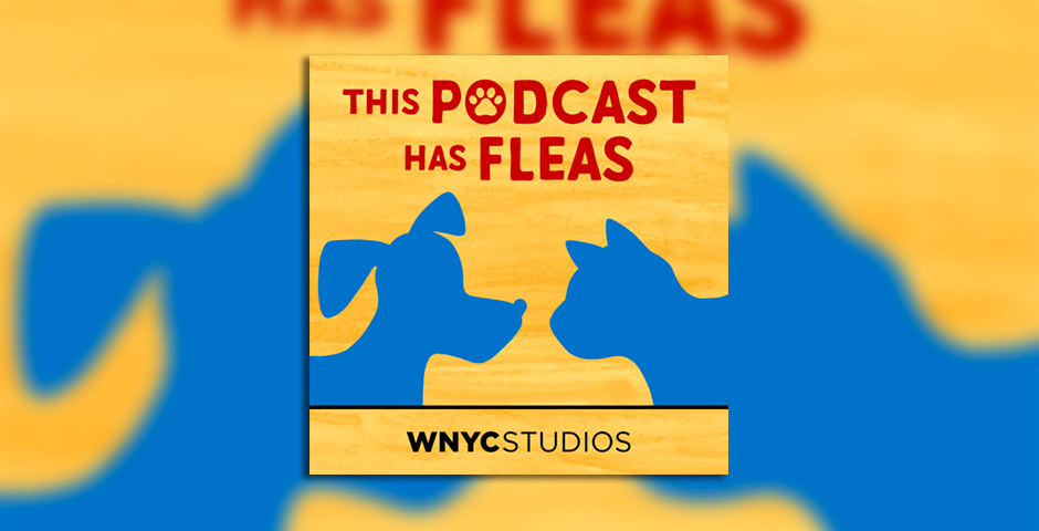 Nominee - This Podcast Has Fleas