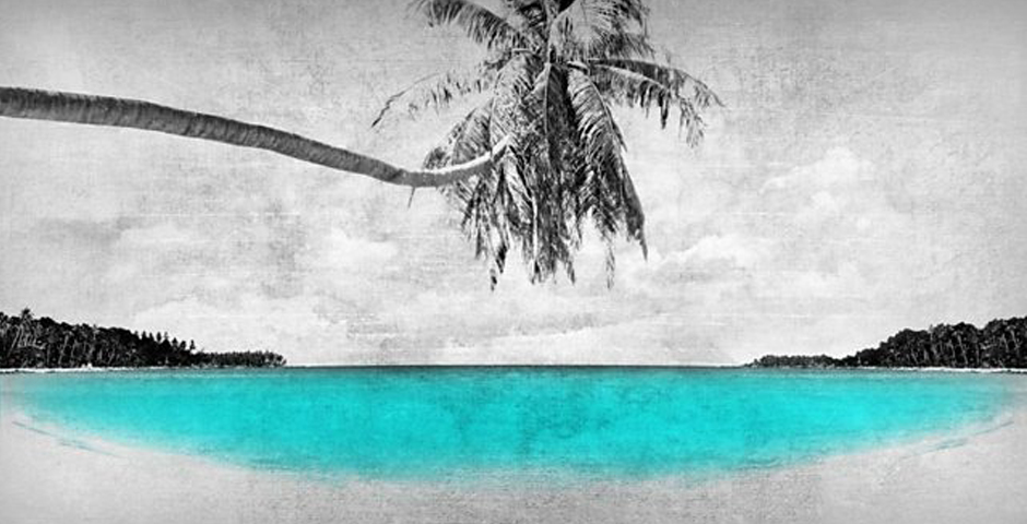 Nominee - Paradise Papers social video animations