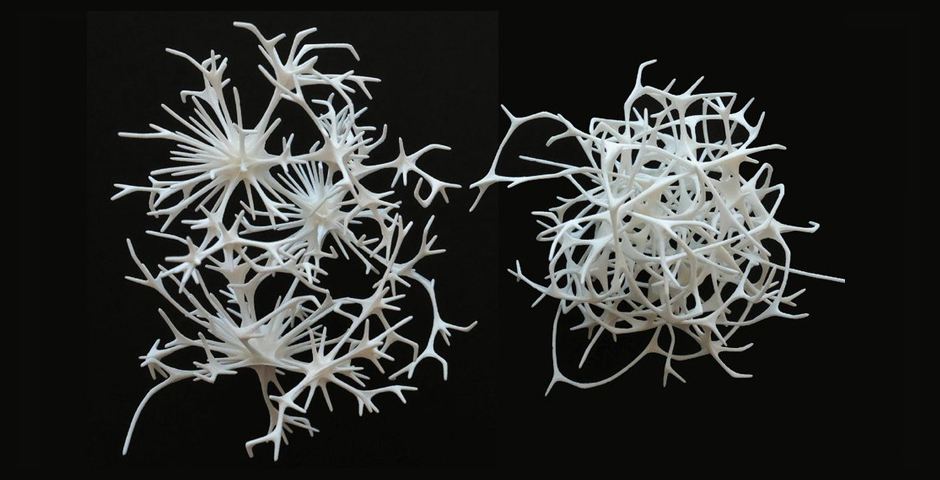 Nominee - WonderNet – Physicality of Networks