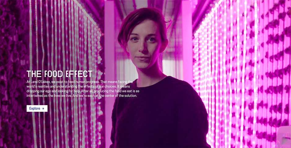 The Food Effect 360 Site