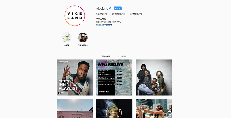 Nominee - VICELAND IG
