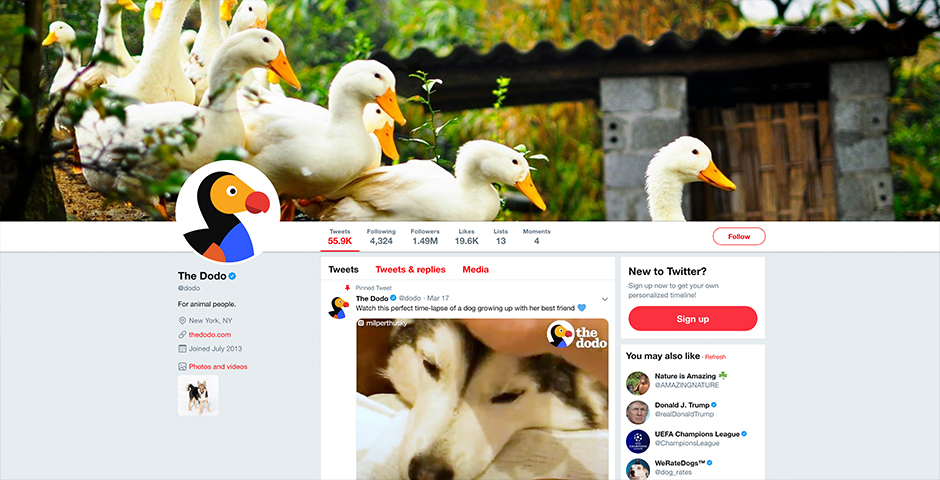 Webby Award Winner - The Dodo — The No. 1 Animal Brand on Social Media