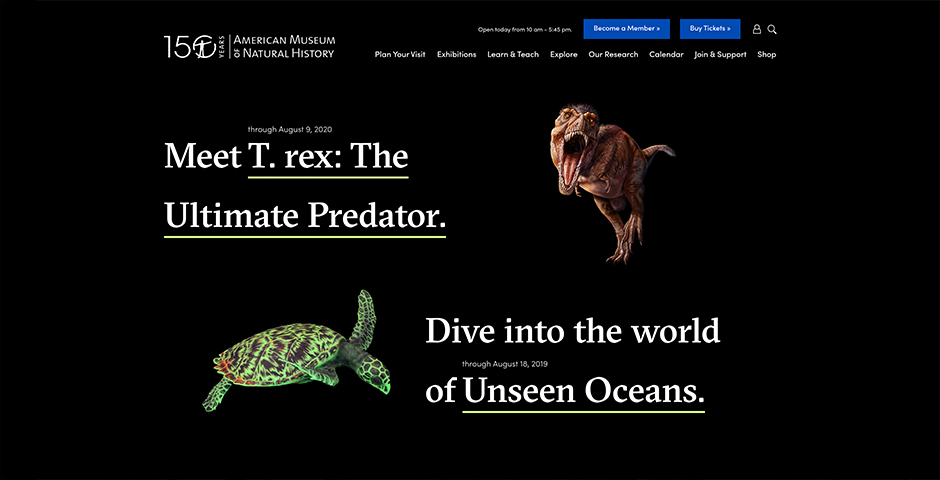 Nominee - American Museum of Natural History
