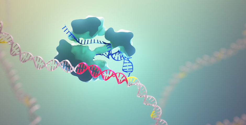 Nominee - CRISPR-Cas9: Mechanism & Applications
