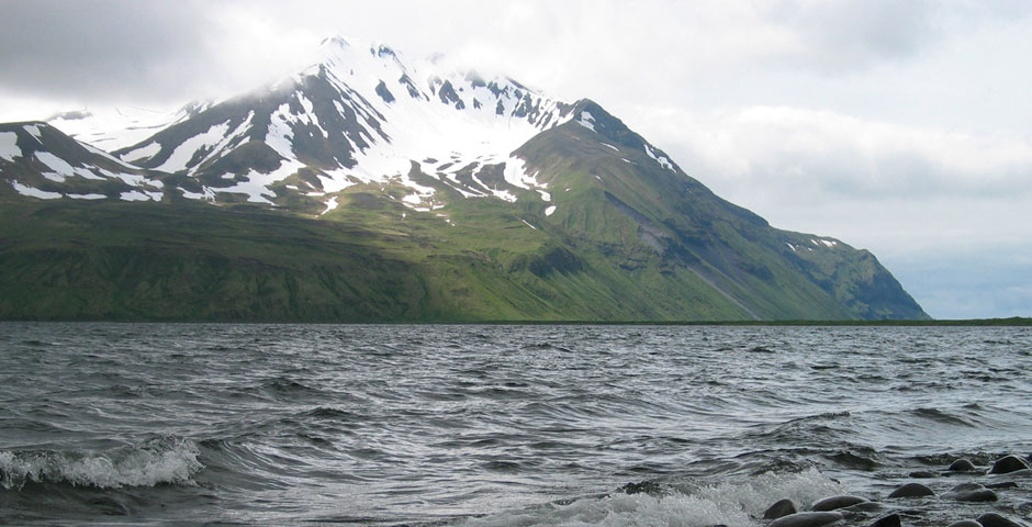 Webby Award Winner - NOAA Fisheries