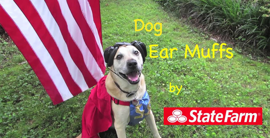 Honoree - State Farm Dog Friendly Fourth
