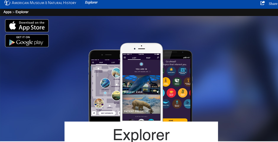Honoree - Explorer