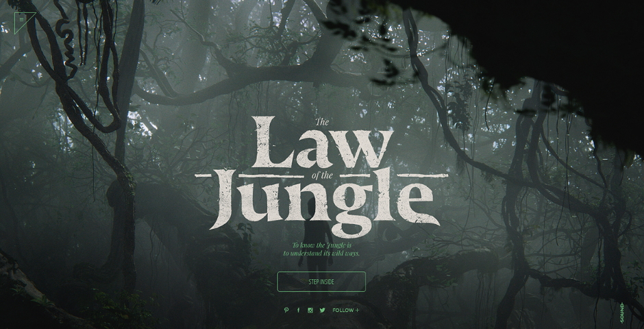 Nominee - The Jungle Book