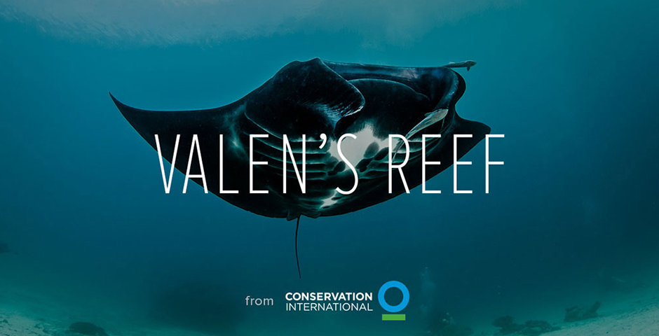 Nominee - Conservation International: Valen’s Reef