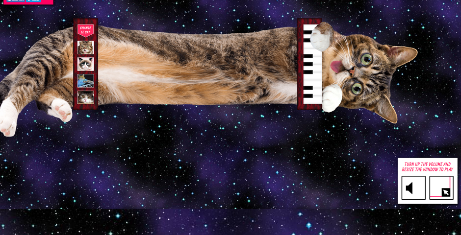 Honoree - CATCORDION!
