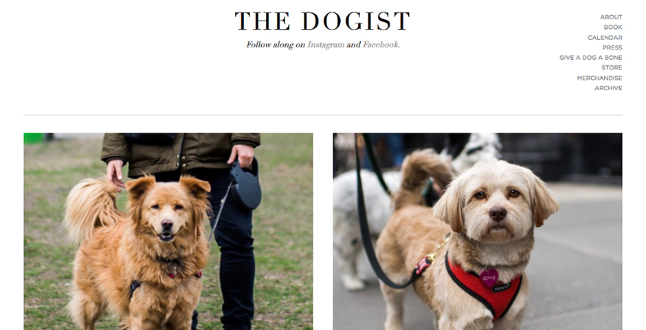 Nominee - The Dogist