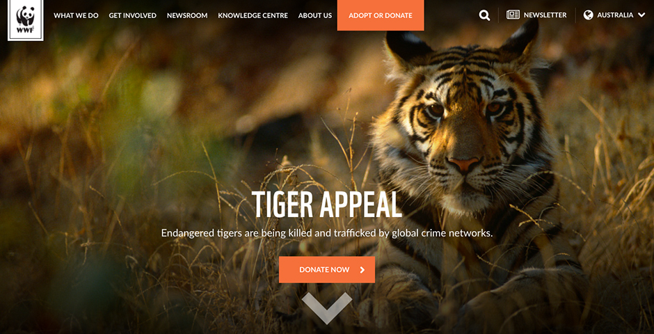 Honoree - WWF Australia website