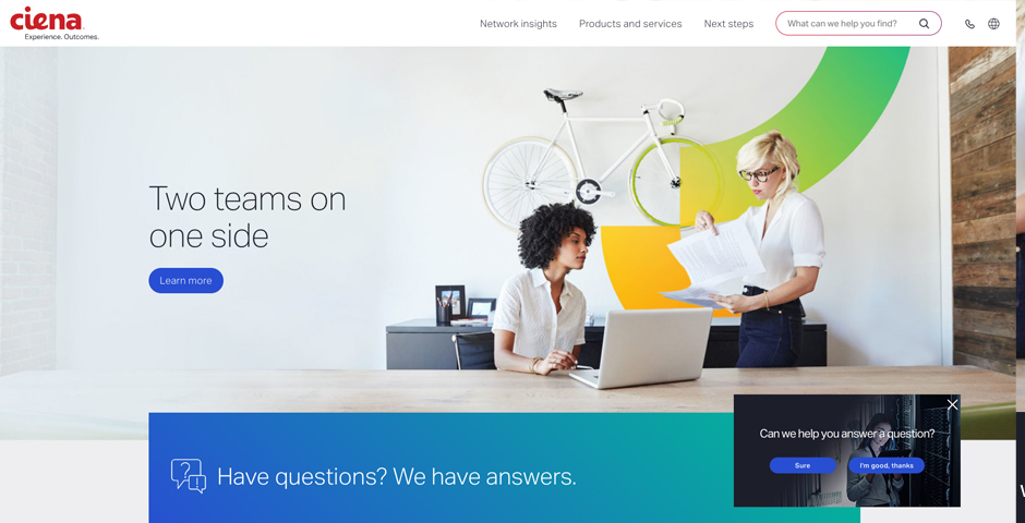 Honoree - ciena.com redesign
