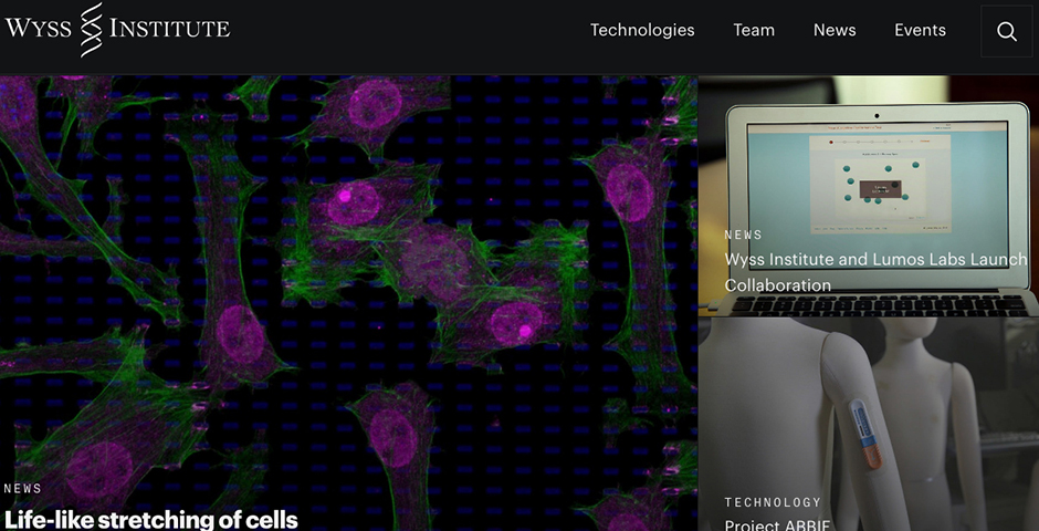Webby Award Winner - Wyss Institute for Biologically Inspired Engineering at Harvard University