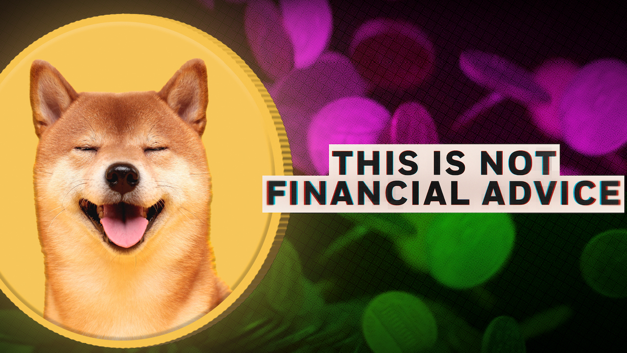 This Is Not Financial Advice by Fuse Media
