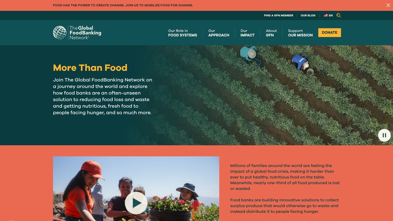 More Than Food by The Global FoodBanking Network