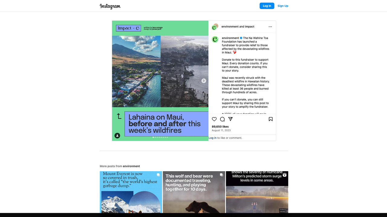Sustainability, Climate & Environment: Fundraising | @environment by Impact Media