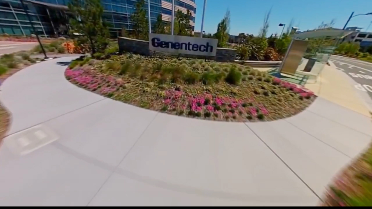 Genentech Manager Belonging Goals by Liquid Soul