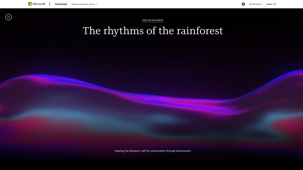The rhythms of the rainforest by Instrument