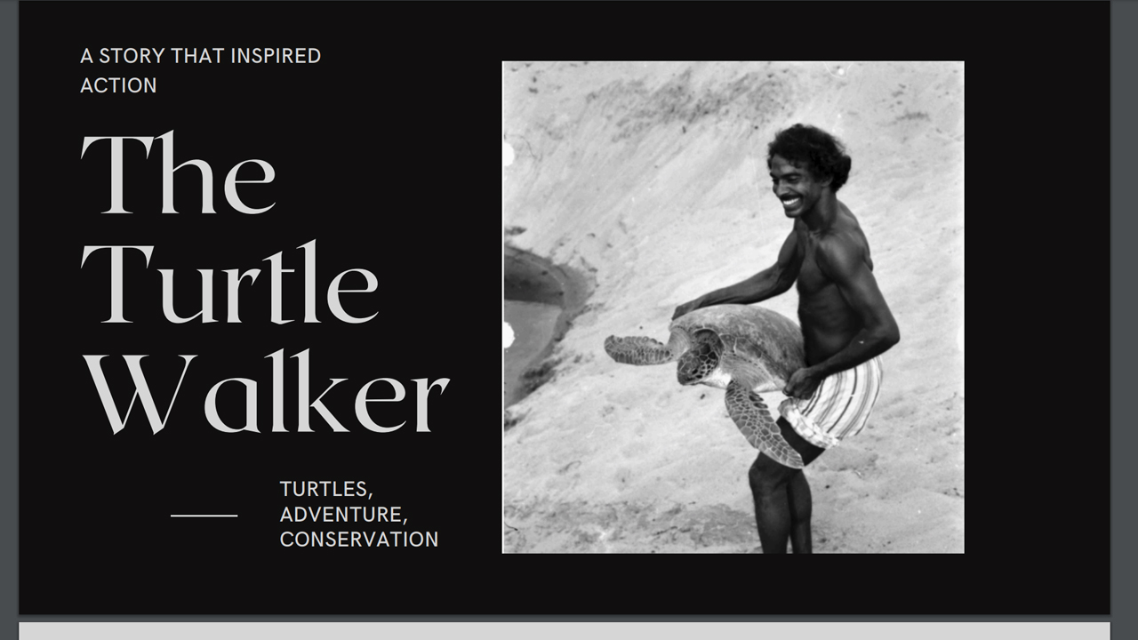 Turtle Walker by Jnana Foundation