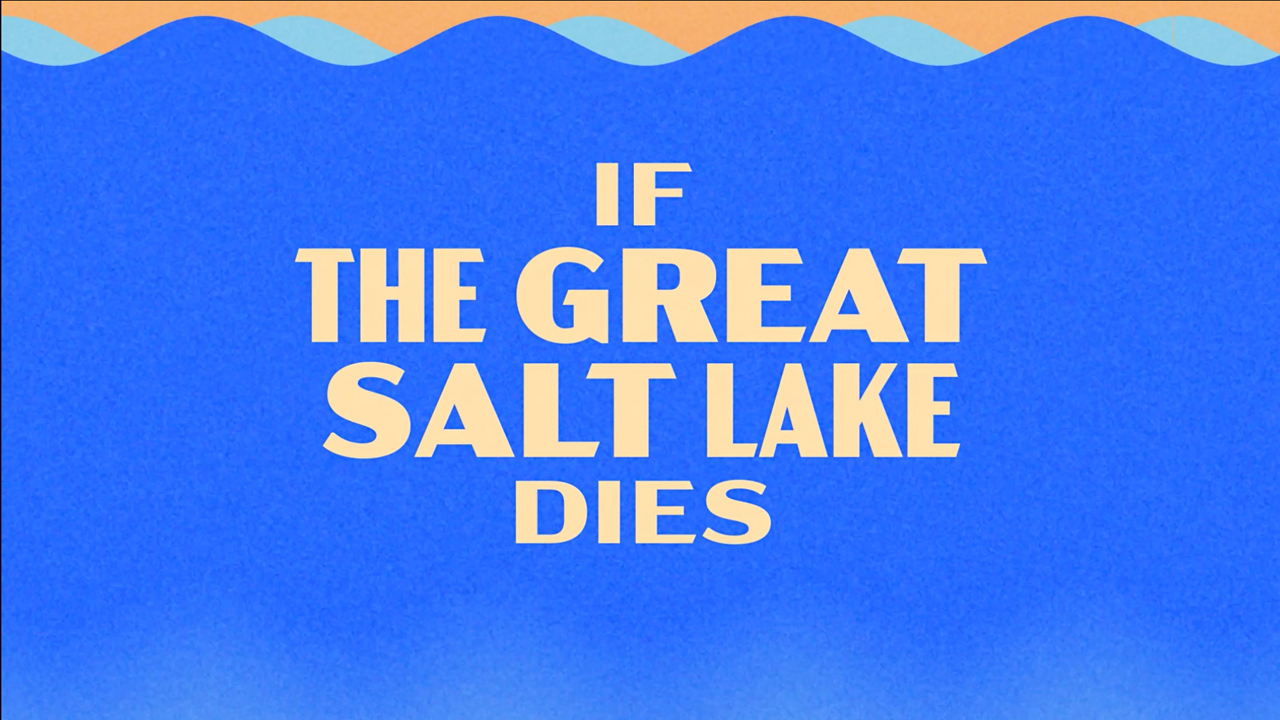 Save the Great Salt Lake by Struck