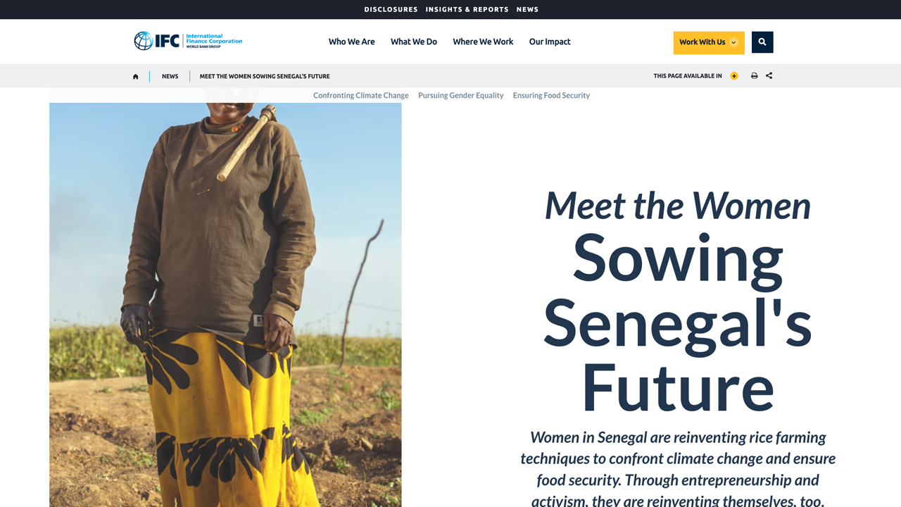 Meet the Women Sowing Senegal's Future by IFC - World Bank Group