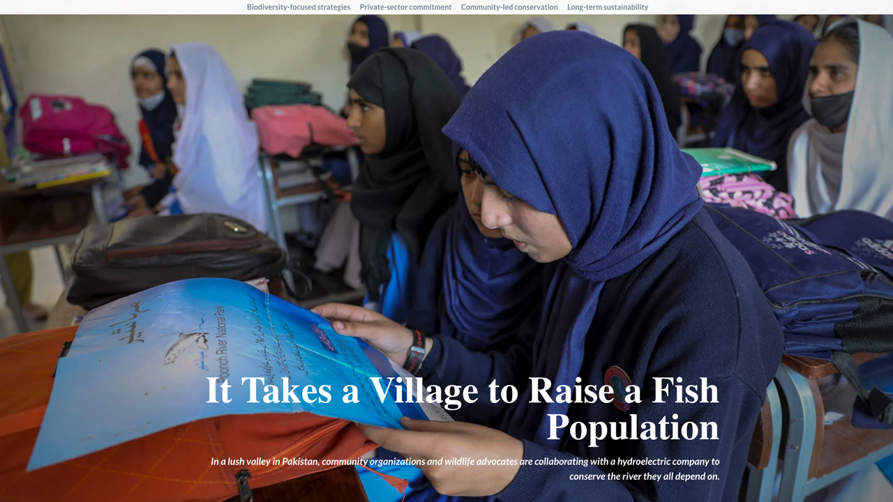 It Takes a Village to Raise a Fish Population by IFC - World Bank Group