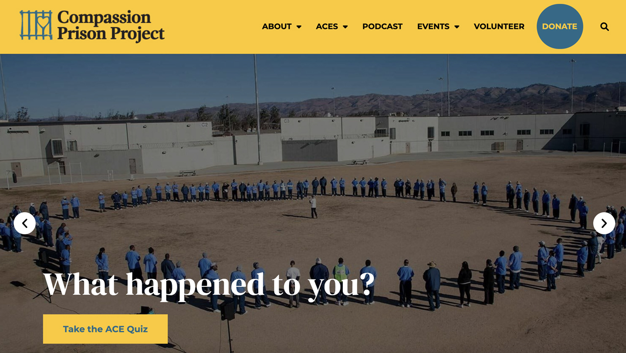 Trauma to Transformation by Compassion Prison Project