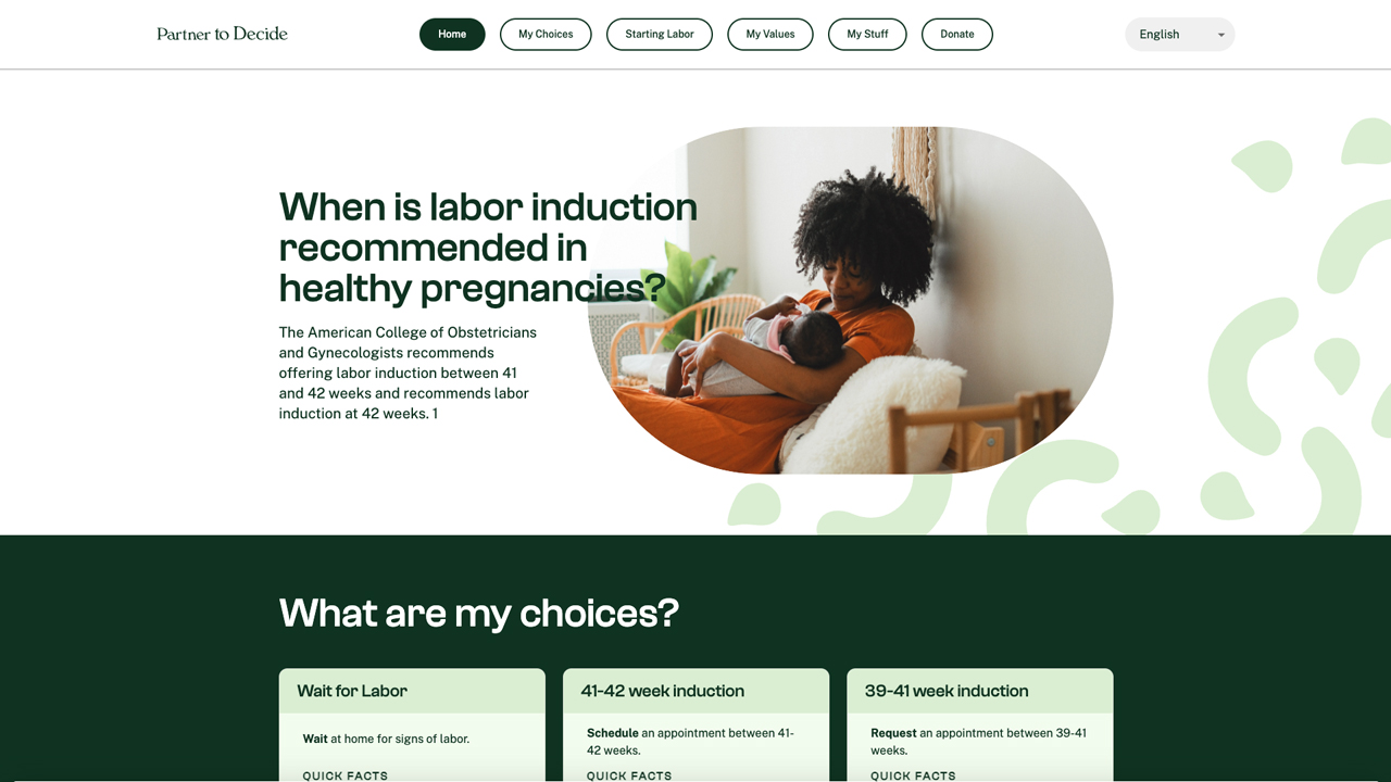 Partner to Decide by Blink UX
