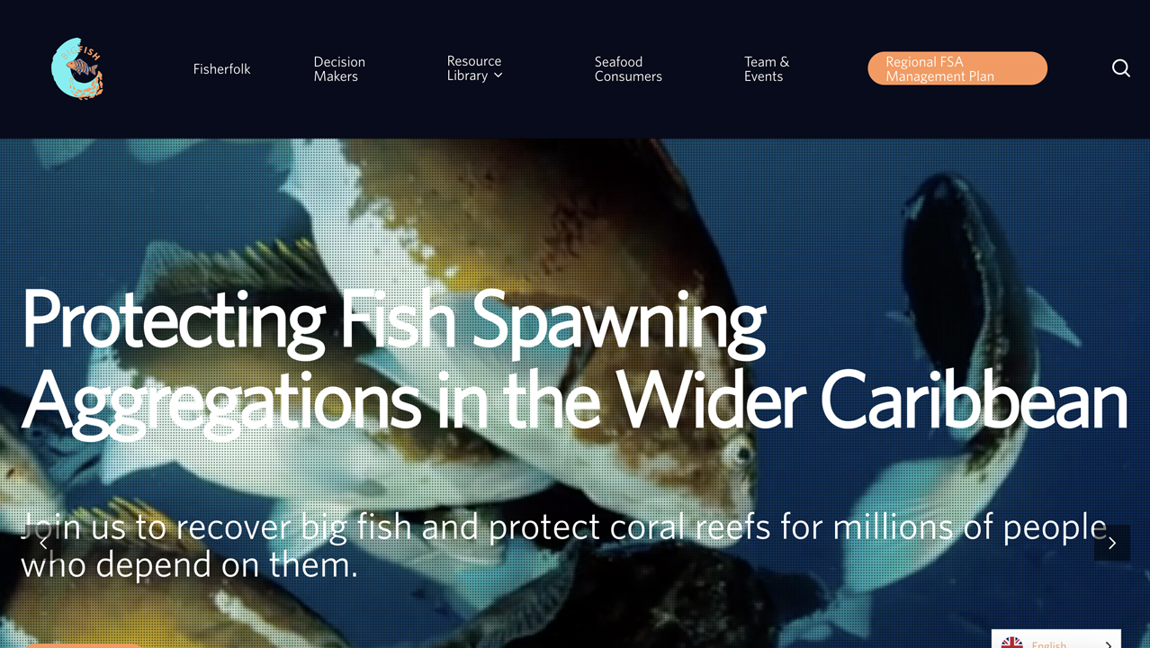 Big Fish Initiative by HHMI Tangled Bank Studios