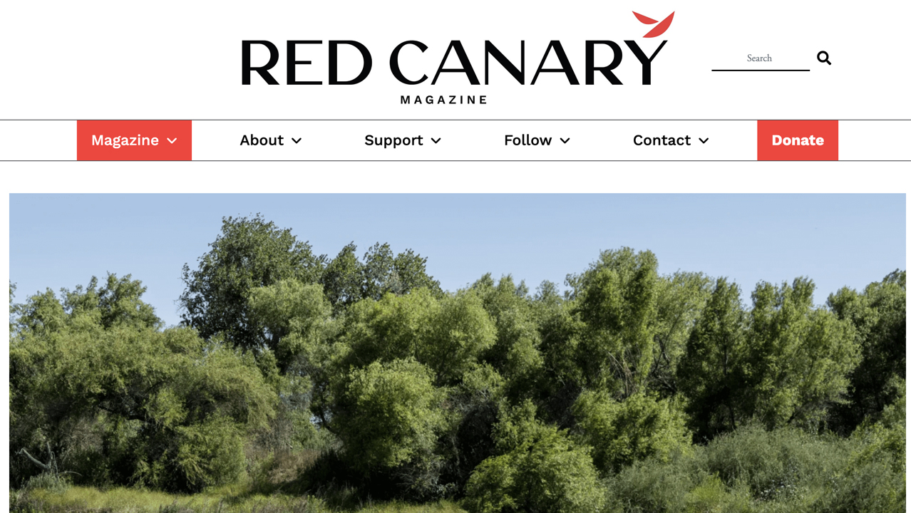 Red Canary Magazine