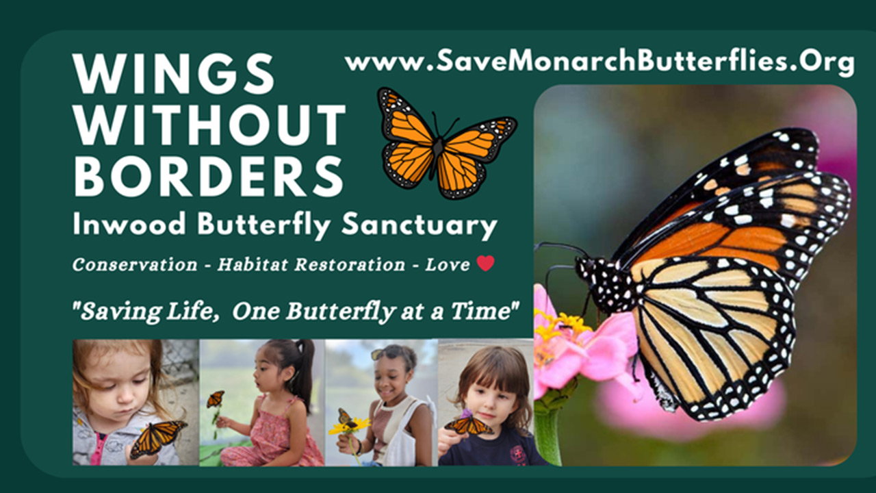 Wings Without Borders by Inwood Butterfly Sanctuary