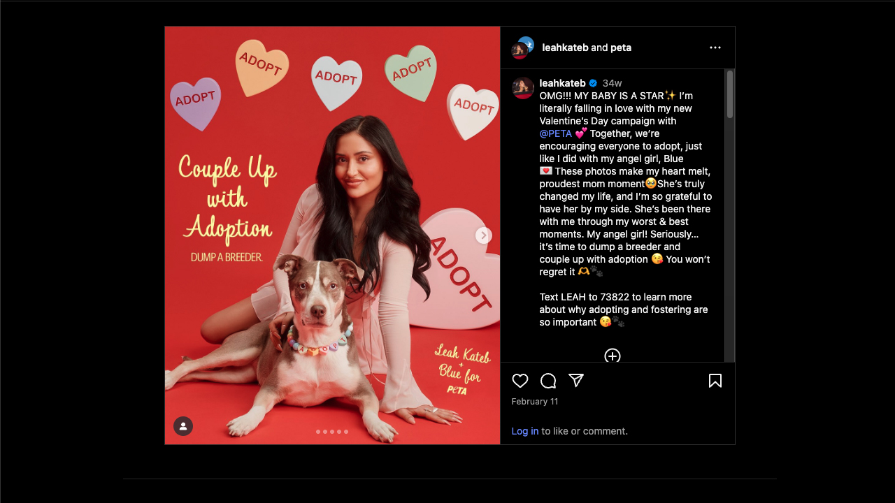 PETA x Leah Kateb: Couple Up With Adoption by PETA