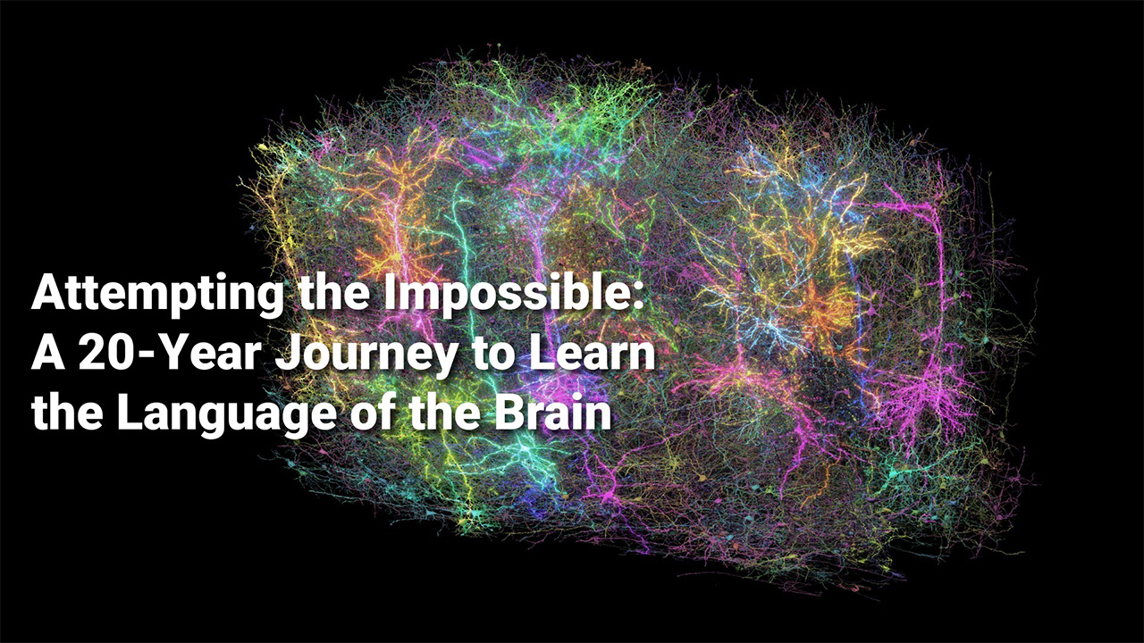 Attempting the Impossible by Allen Institute