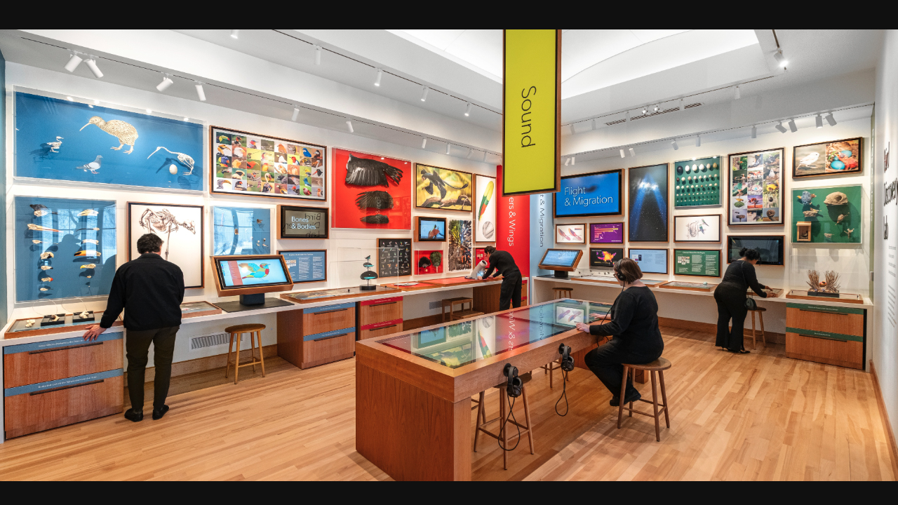 Cornell Lab of Ornithology Visitor Center by C&G Partners