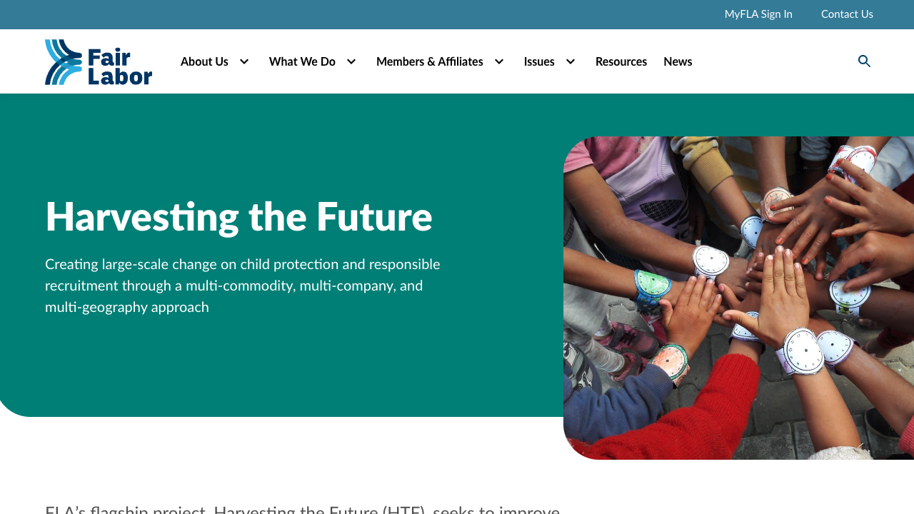 Harvesting the Future: Transforming Labor Conditions in Agriculture by Fair Labor Association