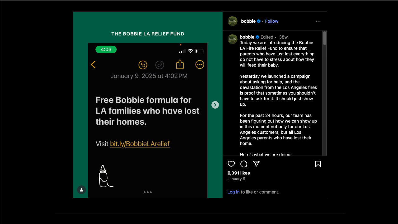 Bobbie’s LA Wildfire Rapid Response by Bobbie
