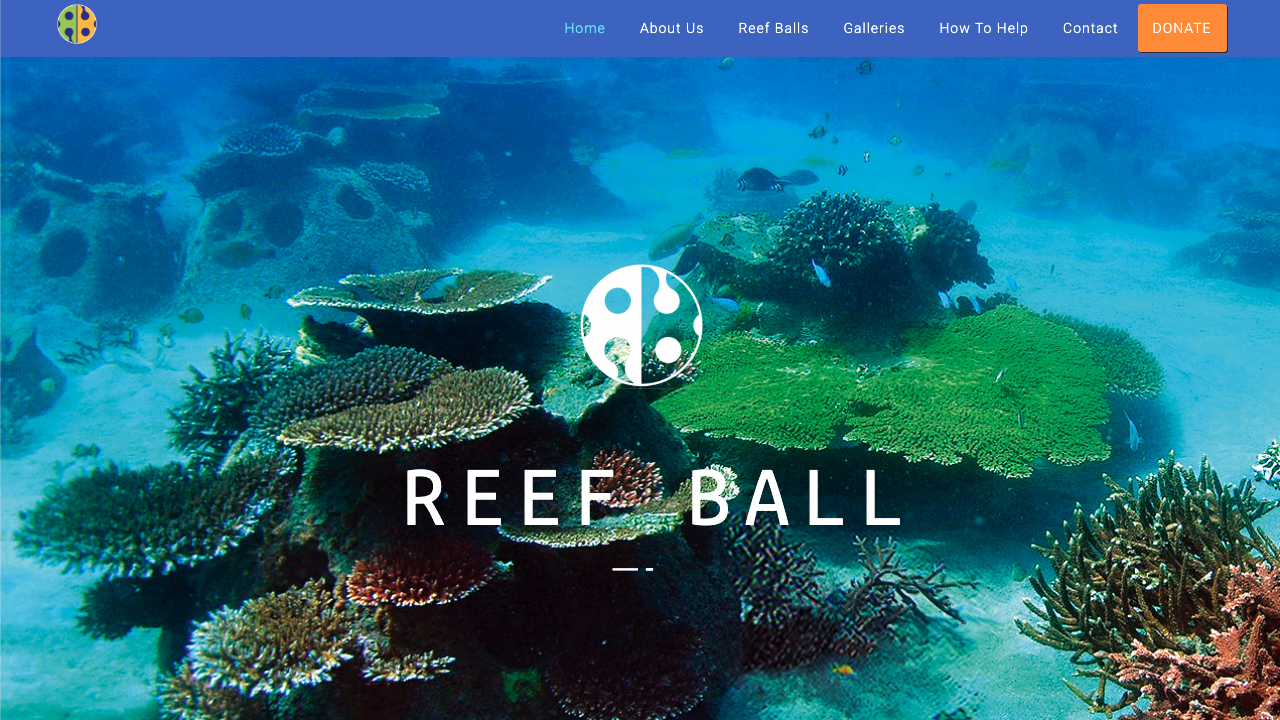 Reefs Around the World-Ocean Ecosystem Restoration by Reef Ball Foundation