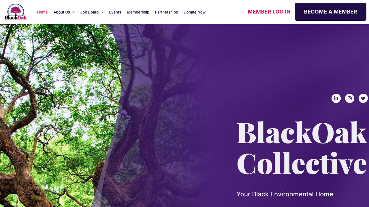 Green Gateways Between HBCUs and The Green Jobs Sector by BlackOak Collective